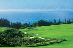 A_Kapalua_Plantation18_9x6_1