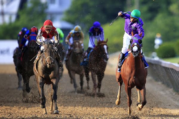 horse_g_preak2_cr_600x400