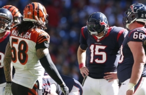 20141123_texansbengals_kaw_044